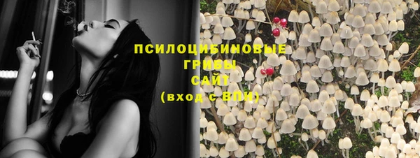 ешки Волоколамск
