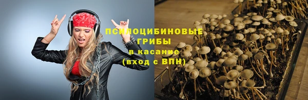 ешки Волоколамск