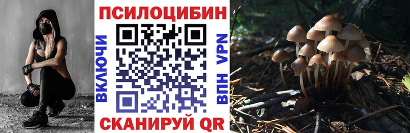 Купить где  Волчанск  Галлюциногенные грибы мухоморы 